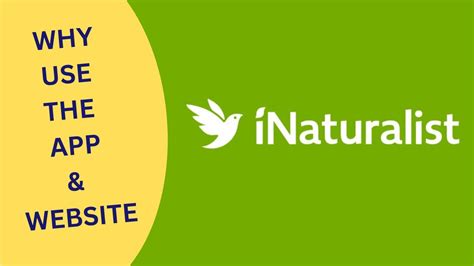 inaturalist website|More.